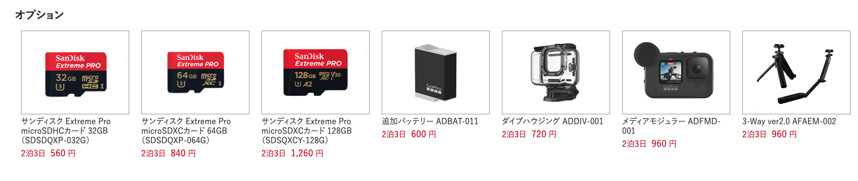 APES RENTALS GoPro オプションレンタル